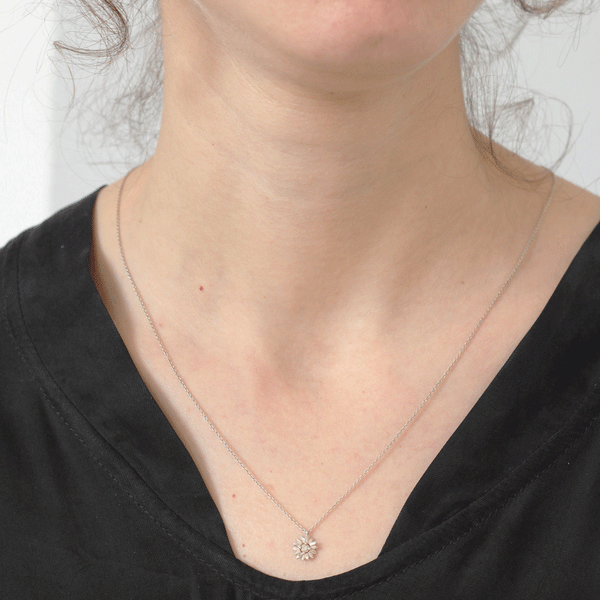 שרשרת חרצית